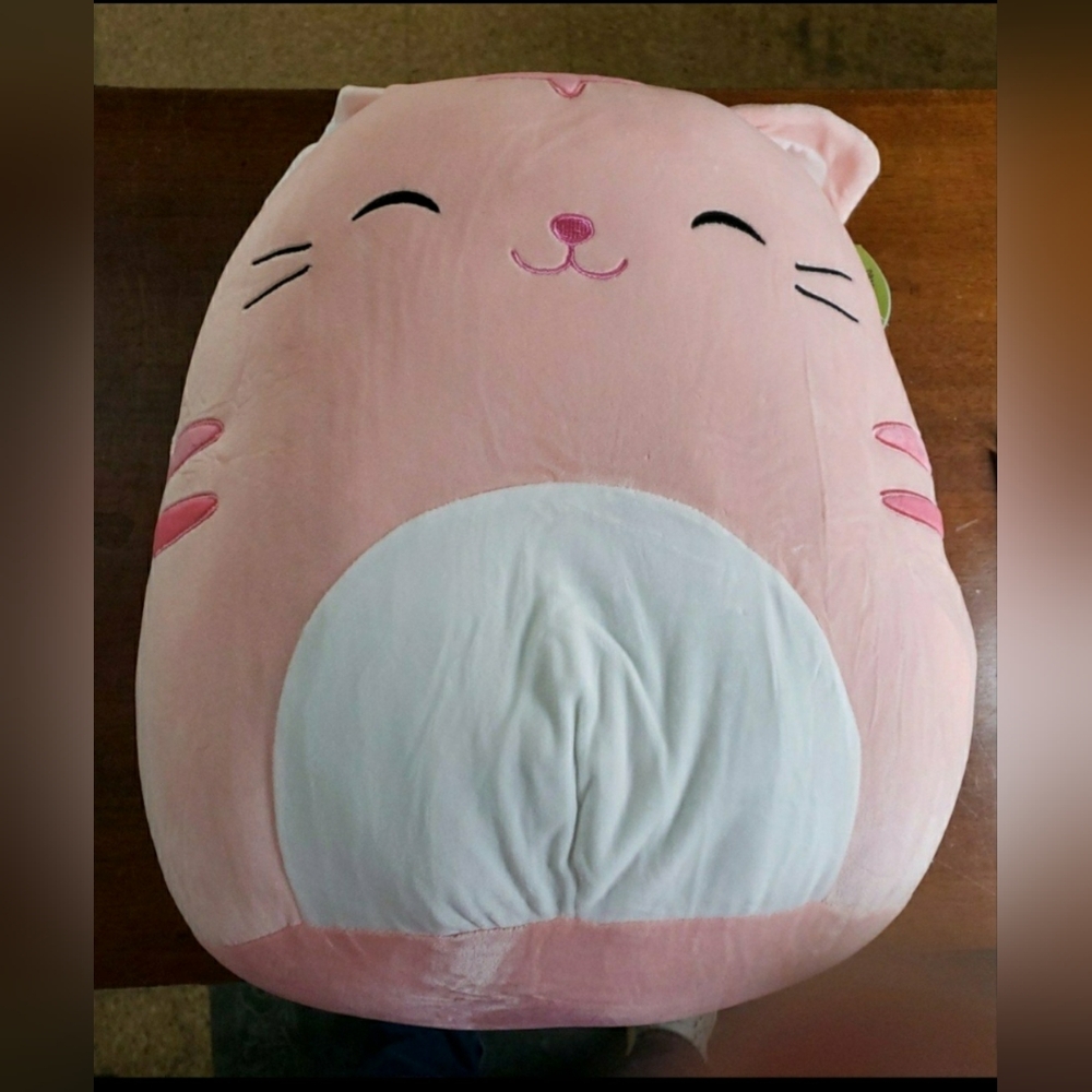 Squishmallows 18" Paulita the Tabby Cat NWT
